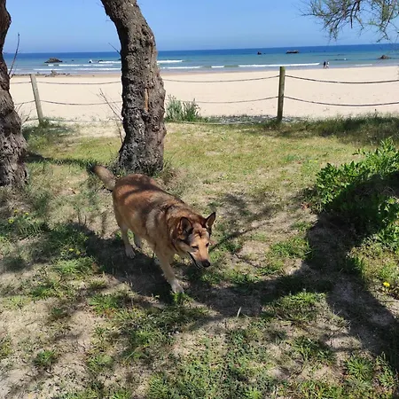 Casa Atzu Appartamento