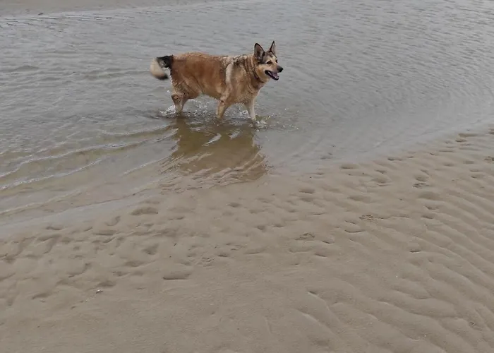 Casa Atzu Loft Apartment