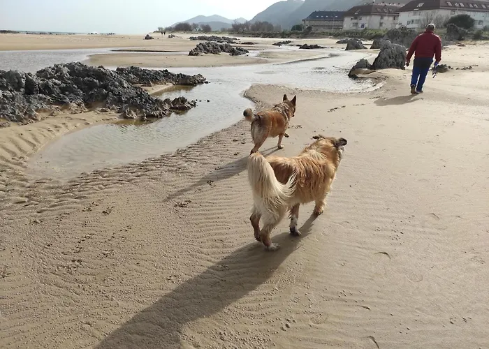 Casa Atzu Loft Apartment