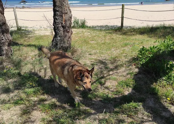 Casa Atzu Loft Apartment