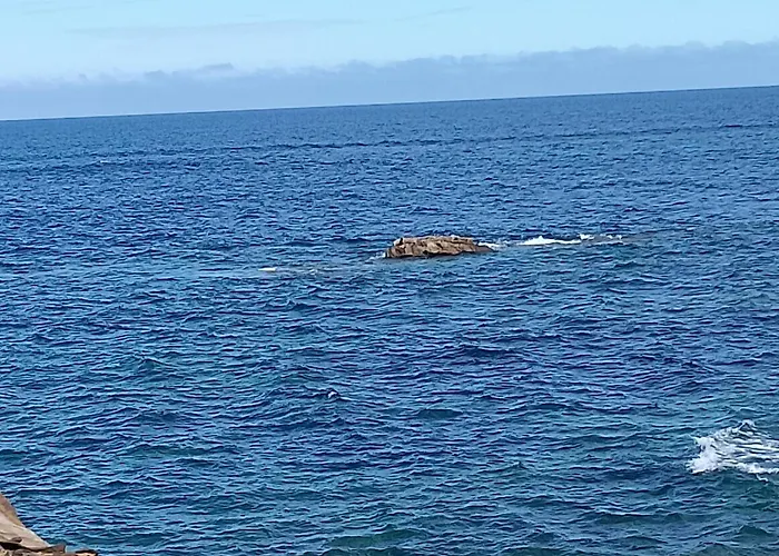 Apartment Casa Atzu Loft