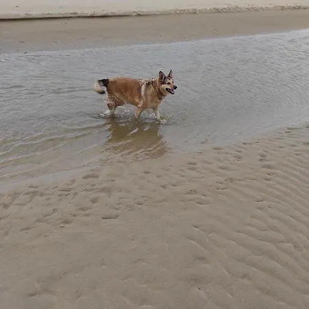 Casa Atzu Appartement