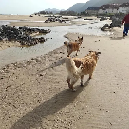 Casa Atzu Appartement